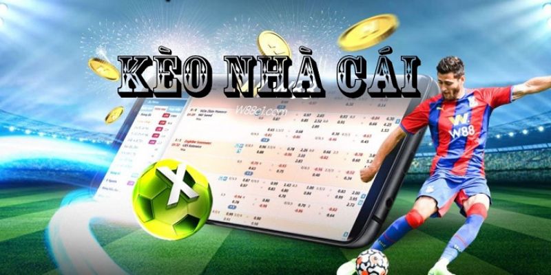 Kubet77 gợi ý kết quả cá cược, tỷ lệ chính xác lên đến 70%